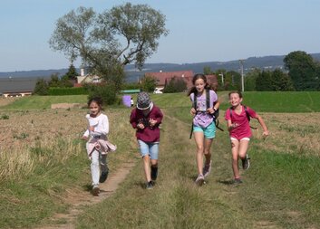 Tři v jednom,  aneb Běh novoveskou přírodou