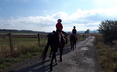 Vyjížďka dětí z pěstounských rodin na koni