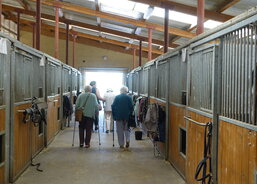 Výlet na Suchou - prohlídka koňských stájí