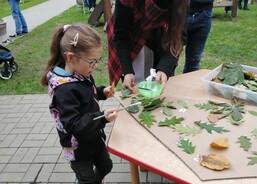 img-20241004-wa0000