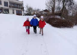 Koleda v Němčicích 